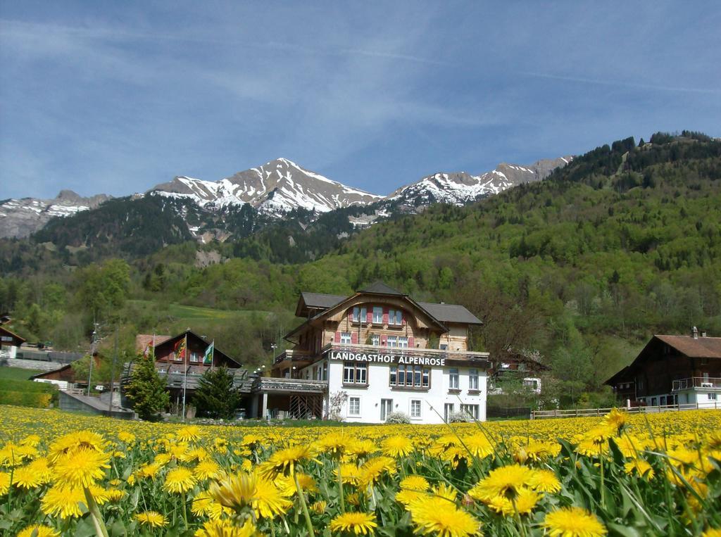 Hotel Alpenrose Beim Ballenberg Hofstetten bei Brienz Dış mekan fotoğraf